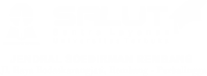 Logo SALUT